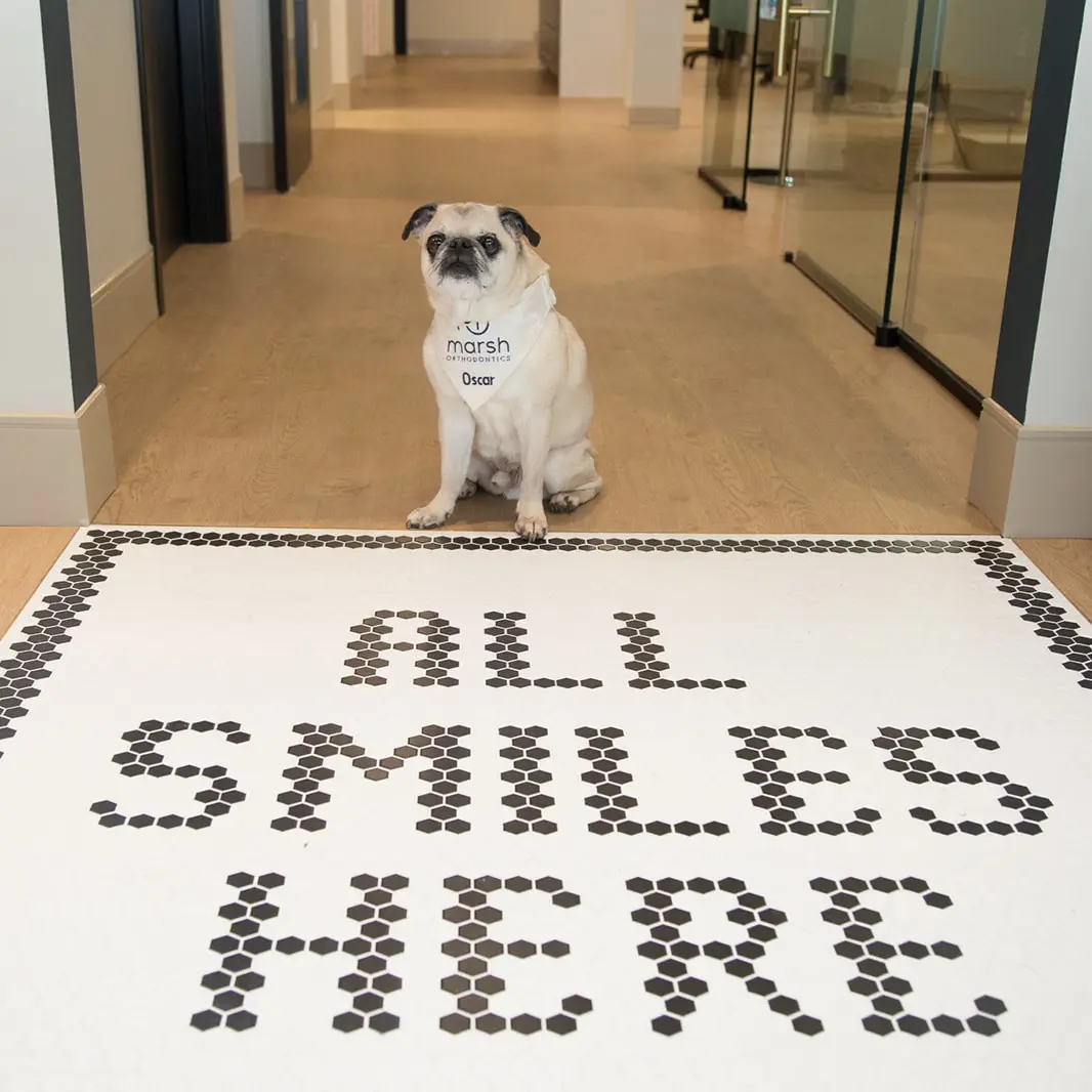 marsh orthodontics office tour